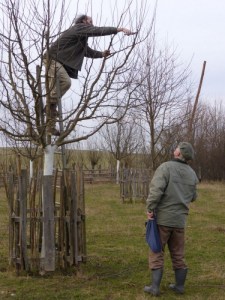 ERziehungsschnitt Dreetz