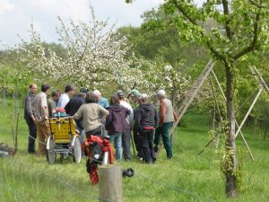 Lernen auf der Wiese