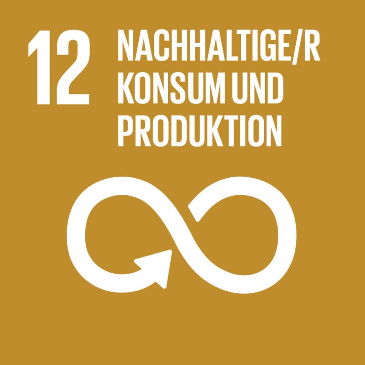 SDG-12_Nachhaltige-r-Konsum-und-Produktion