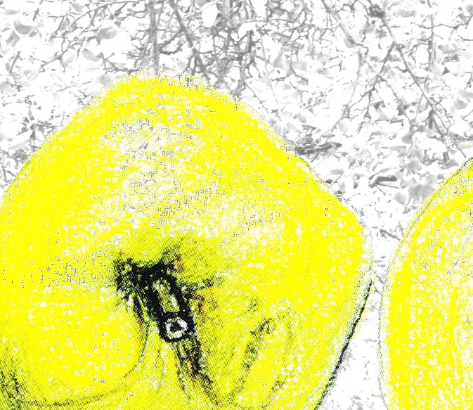 ersterstreuobstgenusstag