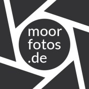 moorfotos-2019_header2